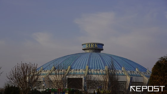 Фото: Repost&nbsp;