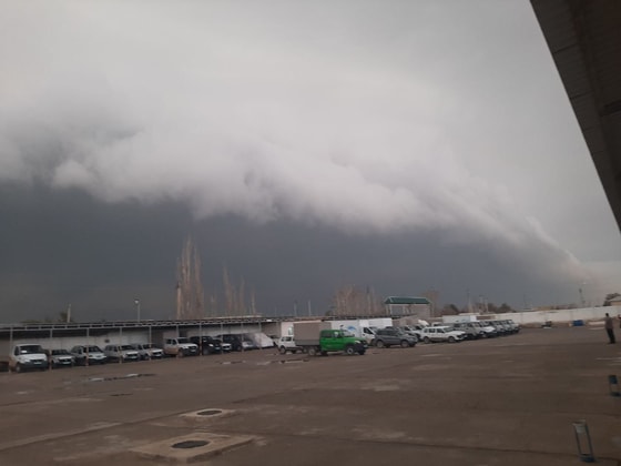 Repost.uz / Фото куплено у мобильного репортёра