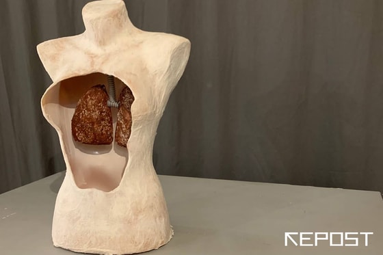 Лейла Рахматуллаева/«Реалисты», «Ветераны»