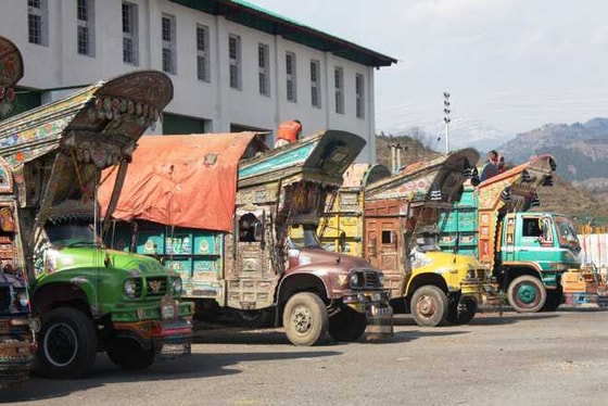 Фото: The Tribune