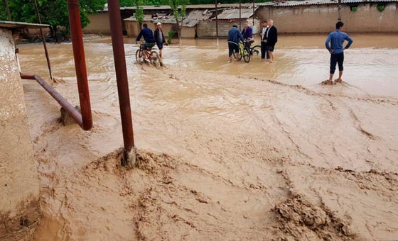 Фото иллюстративное&nbsp;