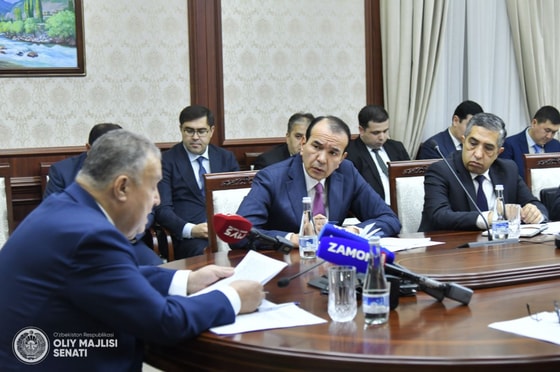 Фото: Пресс-служба Сената