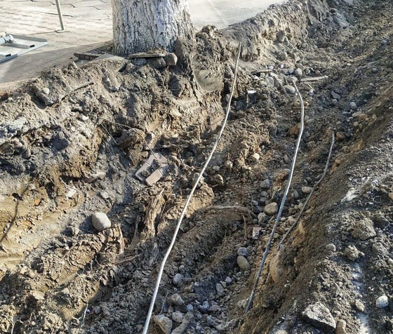 Фото:&nbsp;Ekolog.uz