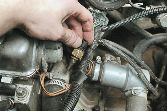 Фото: Nikson61.ru