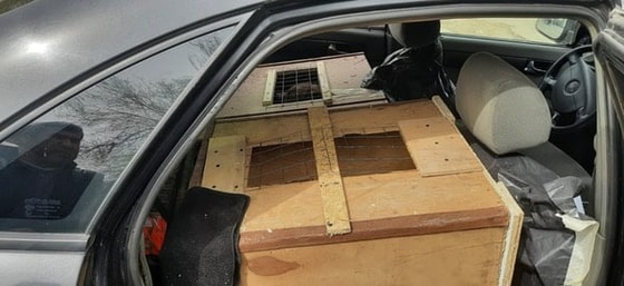 Фото:&nbsp;Федеральная таможенная служба