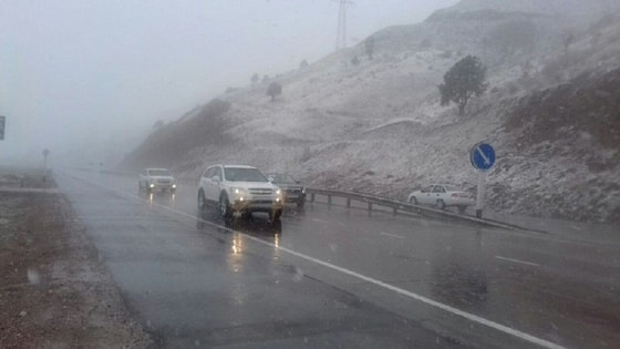 Фото: Открытые источники