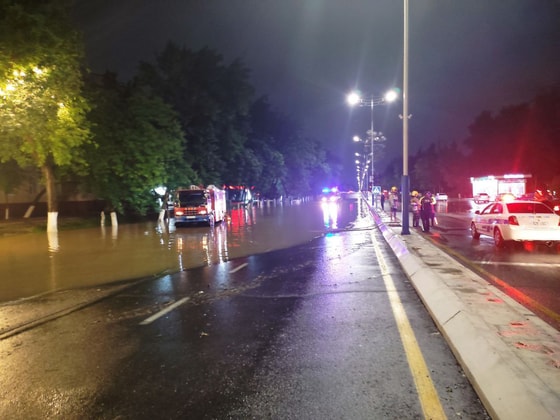 Фото: t.me/ubdd_uz