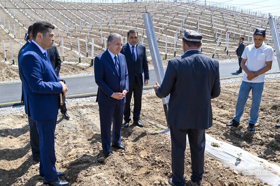 Фото: Пресс-служба президента