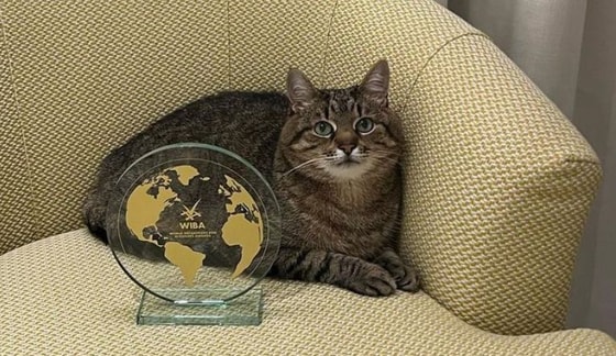 Фото: Instagram/loveyoustepan