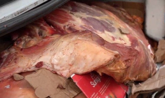 Фото: Кадр из видео