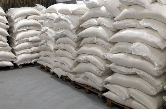 Фото: ИА Regnum