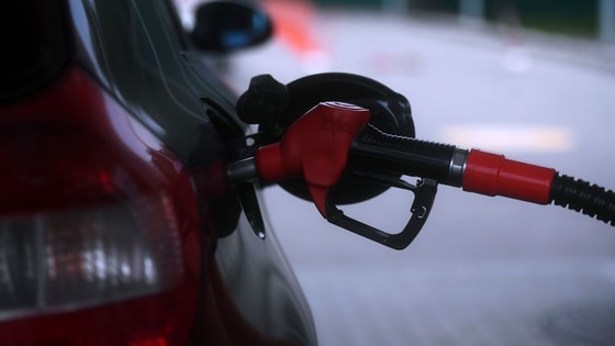 Фото: Sputnik / Евгений Одиноков