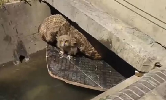 Фото: Кадр из видео