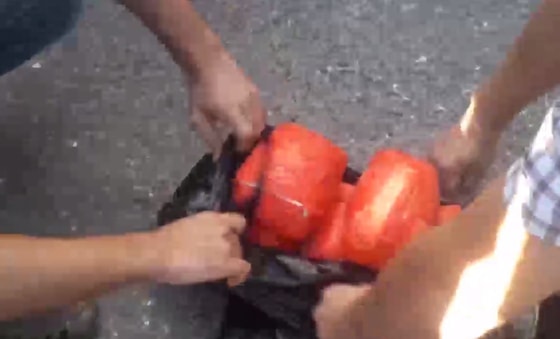 Кадр из видео