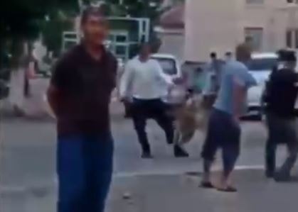 Кадр из видео