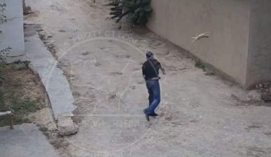 Кадр из видео