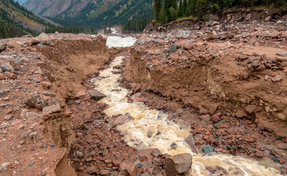 Фото: Открытые источники