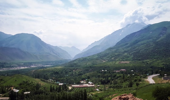 Фото: funart.pro