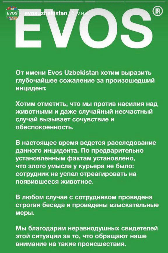 Фото: t.me/vsebudethorosho