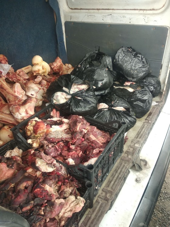 Фото: Пресс-служба Санэпидблагополучия