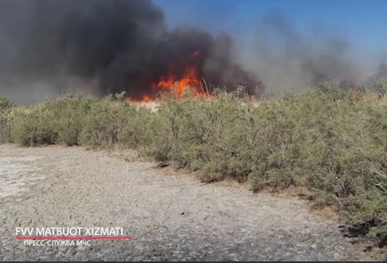 Foto: Favqulodda vaziyatlar vazirligi matbuot xizmati