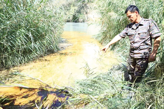 Фото: пресс-служба Госкомэкологии