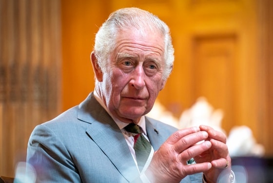 Фото: Сплетник