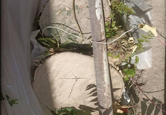 Фото: Telegram-канал Кушербаевга мурожаат