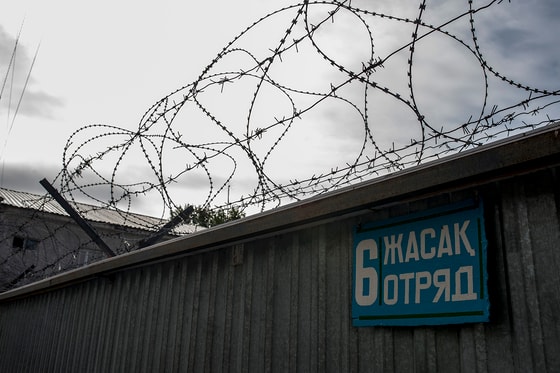 Ситуативное фото / Cabar.asia