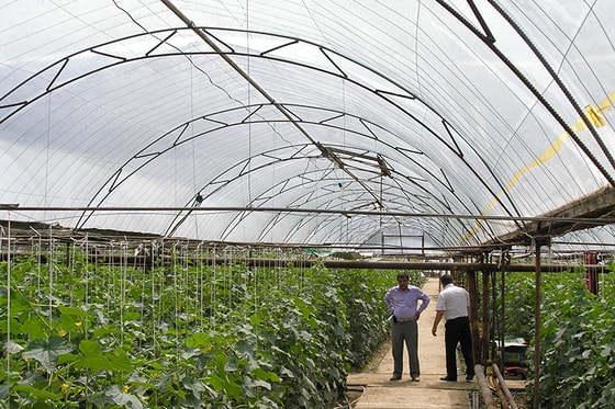 Фото: Открытые источники