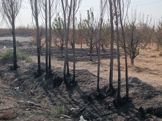 Фото: t.me/Kusherbayevga_murojaat