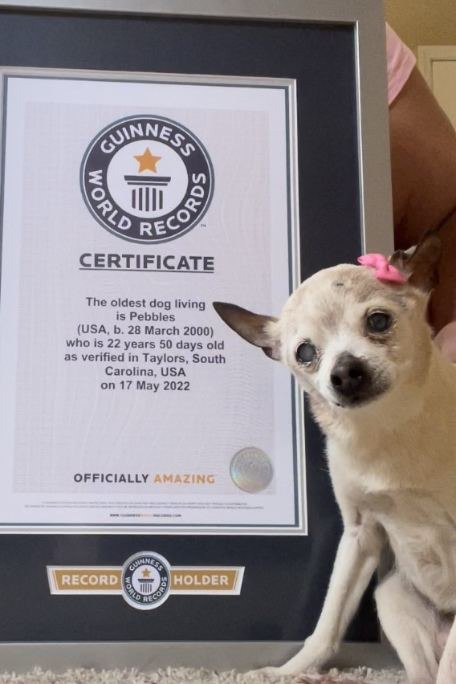 Фото: Книга рекордсов Гиннеса