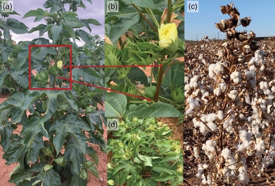 Фото: Пресс-служба Министерства инновационного развития