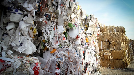 Фото: Sputnik Узбекистан