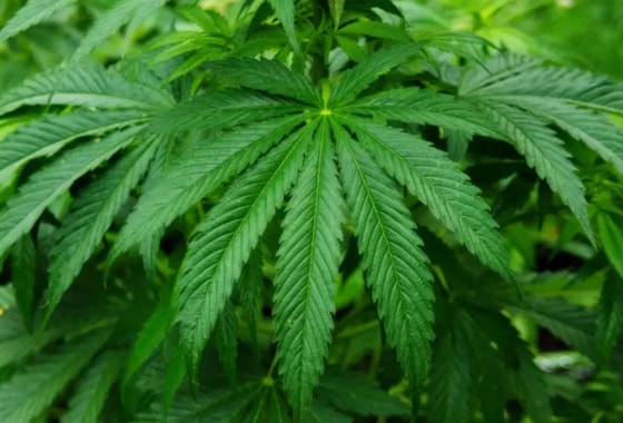 Фото:&nbsp;openbusiness.ru