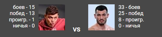 Статистика бойцов после боя /&nbsp;fighttime.ru