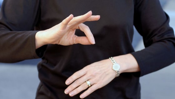 Фото: Свободные источники