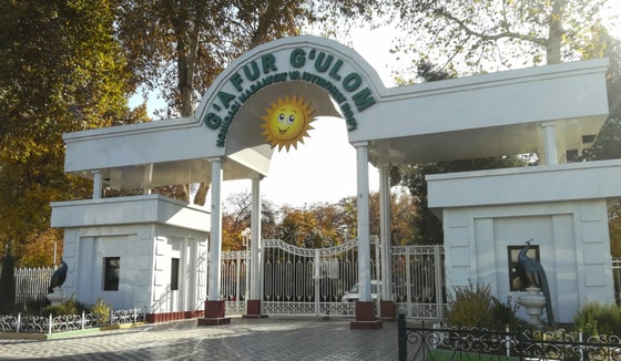 Фото: Открытые источники