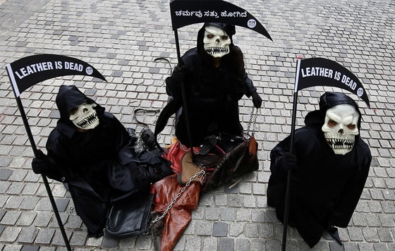 RETA faollar Banglador aholisini tabiiy teri mahsulotlaridan foydalanishni to'xtatishga chaqirdiFoto: EPA