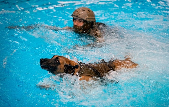 Germaniyaning Kalv shahrida maxsus kuchlarning harbiy mashg'ulotiFoto: EPA