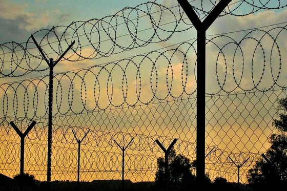 Фото: Открытые источники