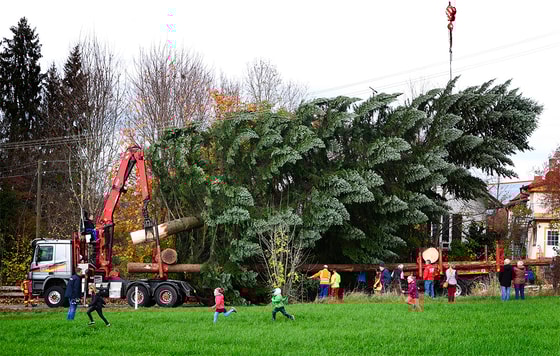 Myunxendagi Marienplatz maydonidagi 25 metrli archa&nbsp; &nbsp;Foto:DPA/TASS