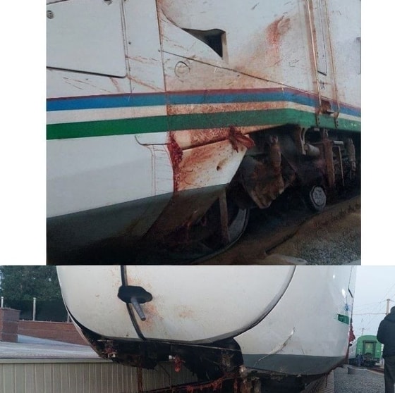 Foto: Ijtimoiy tarmoqlar