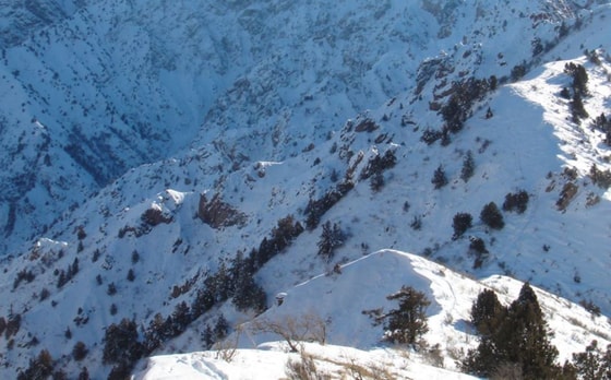 Фото: Википедия