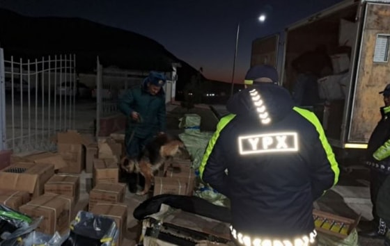 Фото: Пресс-служба СБДД