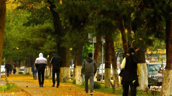 Foto: Sputnik O'zbekiston