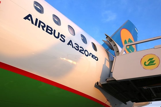 Фото: Открытые источники