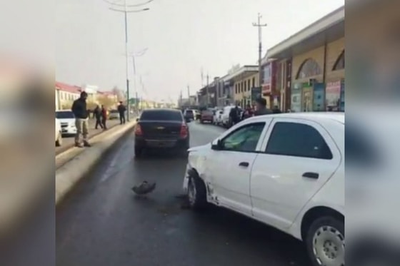 Foto: Videodan lavha