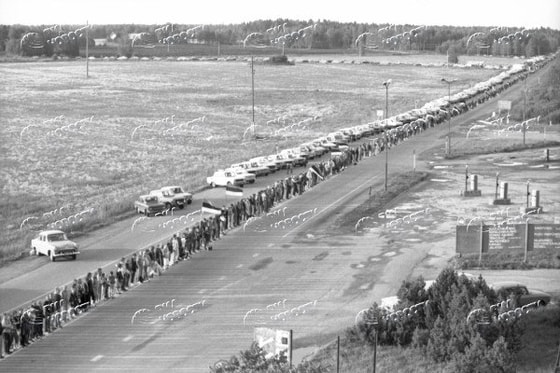 Boltiqbo'yidagi odamlardan tashkil topgan yirik zanjir "Boltiq yo'li" 1989-yil