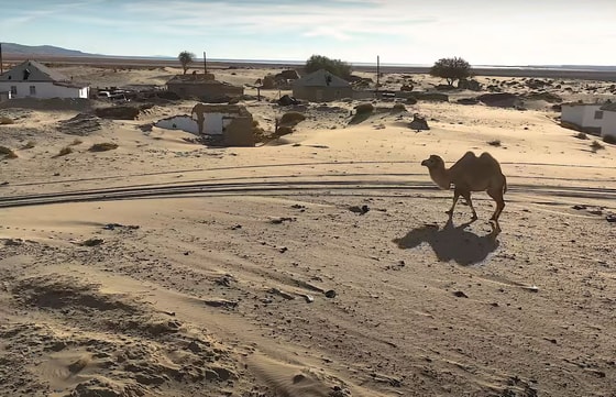 Кадр из видео